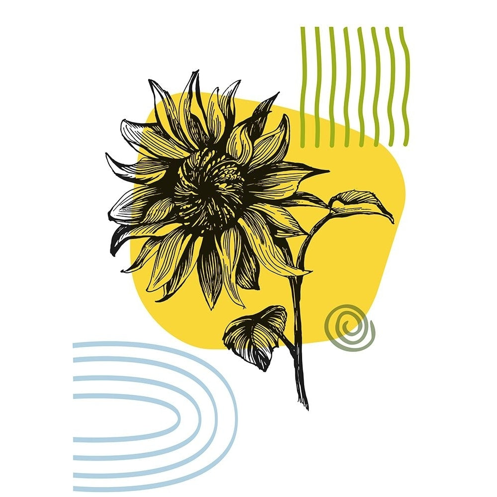 Sunflower Poster Print - Samira Yanushkova-VARPDXACANT300 Image 1