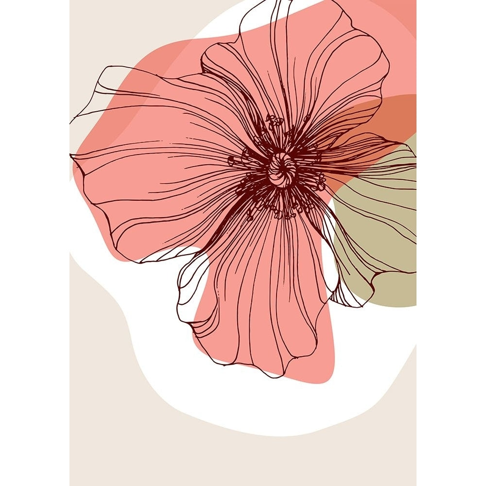 Poppy 18 Poster Print - AcantStudio-VARPDXACANT568 Image 1