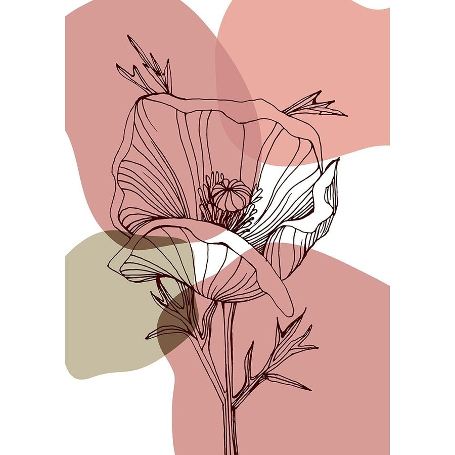 Poppy floral Poster Print - AcantStudio-VARPDXACANT581 Image 1