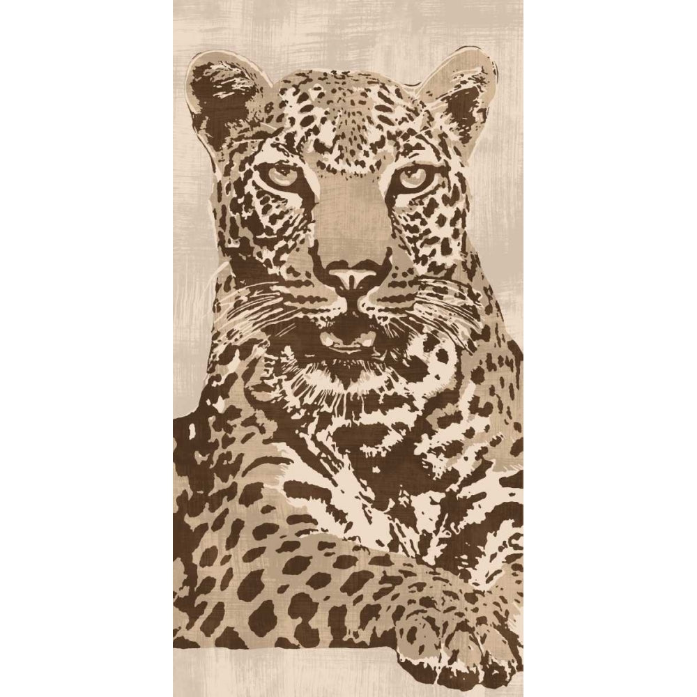 Leopard Poster Print by Andrew Cooper-VARPDXACO5958 Image 1