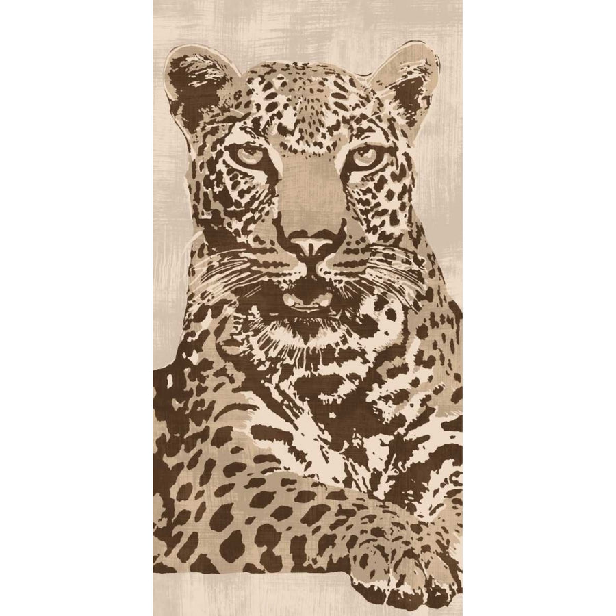 Leopard Poster Print by Andrew Cooper-VARPDXACO5958 Image 1