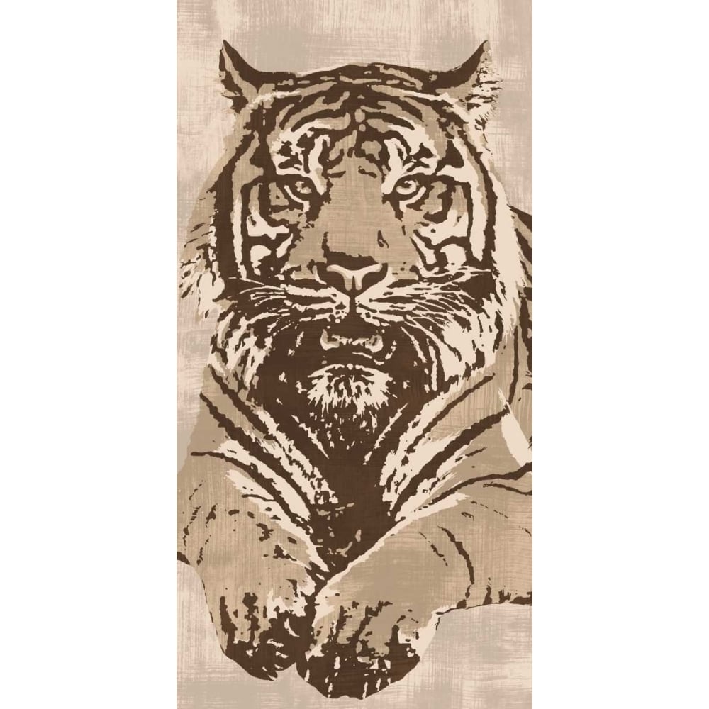 Tiger Poster Print by Andrew Cooper-VARPDXACO5957 Image 1