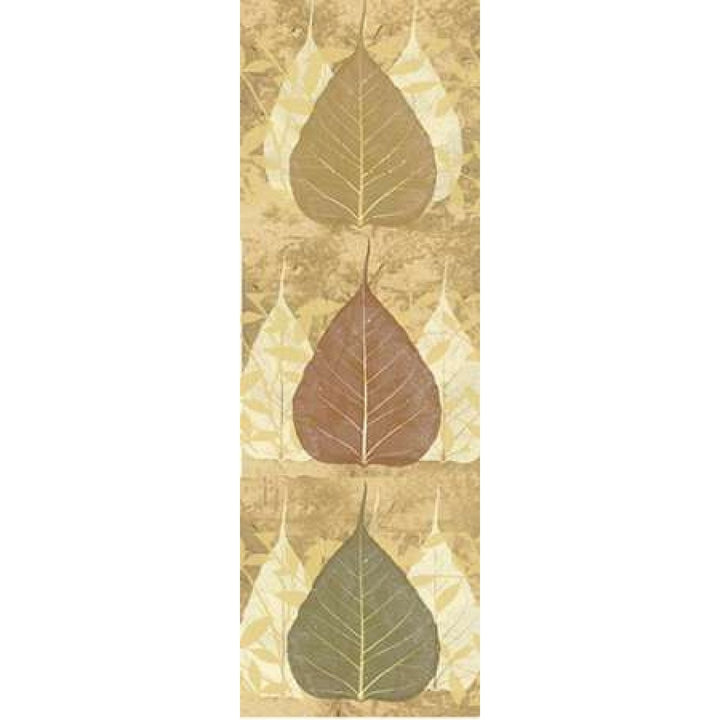 Tree Leaves 3 Poster Print by Angela DAmico-VARPDXADPL112XZ Image 2