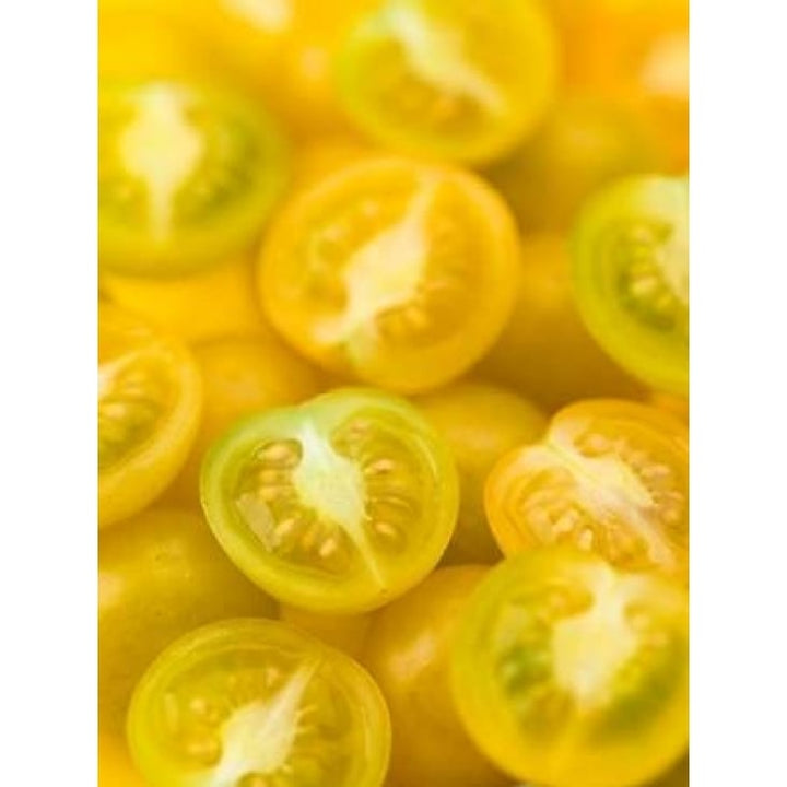 Top view of yellow tomatoes Poster Print by Assaf Frank-VARPDXAF20070310234 Image 2