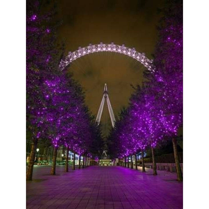 London Eye at night Poster Print by Assaf Frank-VARPDXAF20090906010C13 Image 2