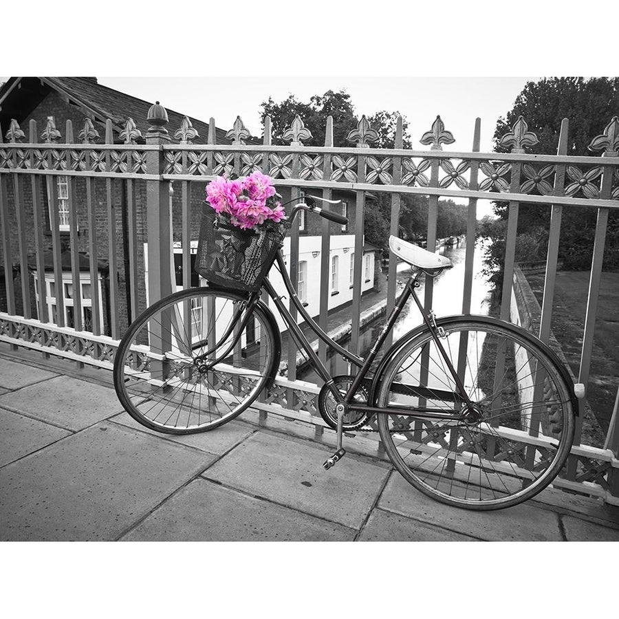 Old Bicycle near a canal Poster Print by Assaf Frank-VARPDXAF20110827030C02 Image 1