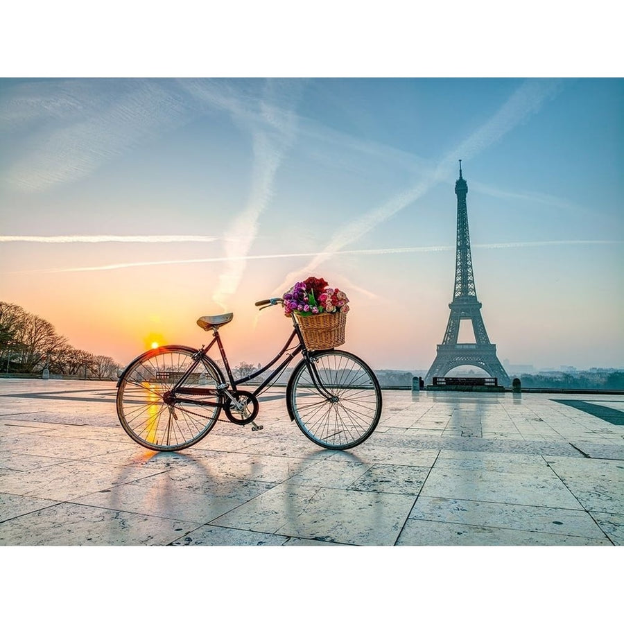 Bicycle and Eiffel tower by Assaf Frank-VARPDXAF201203161117X Image 1