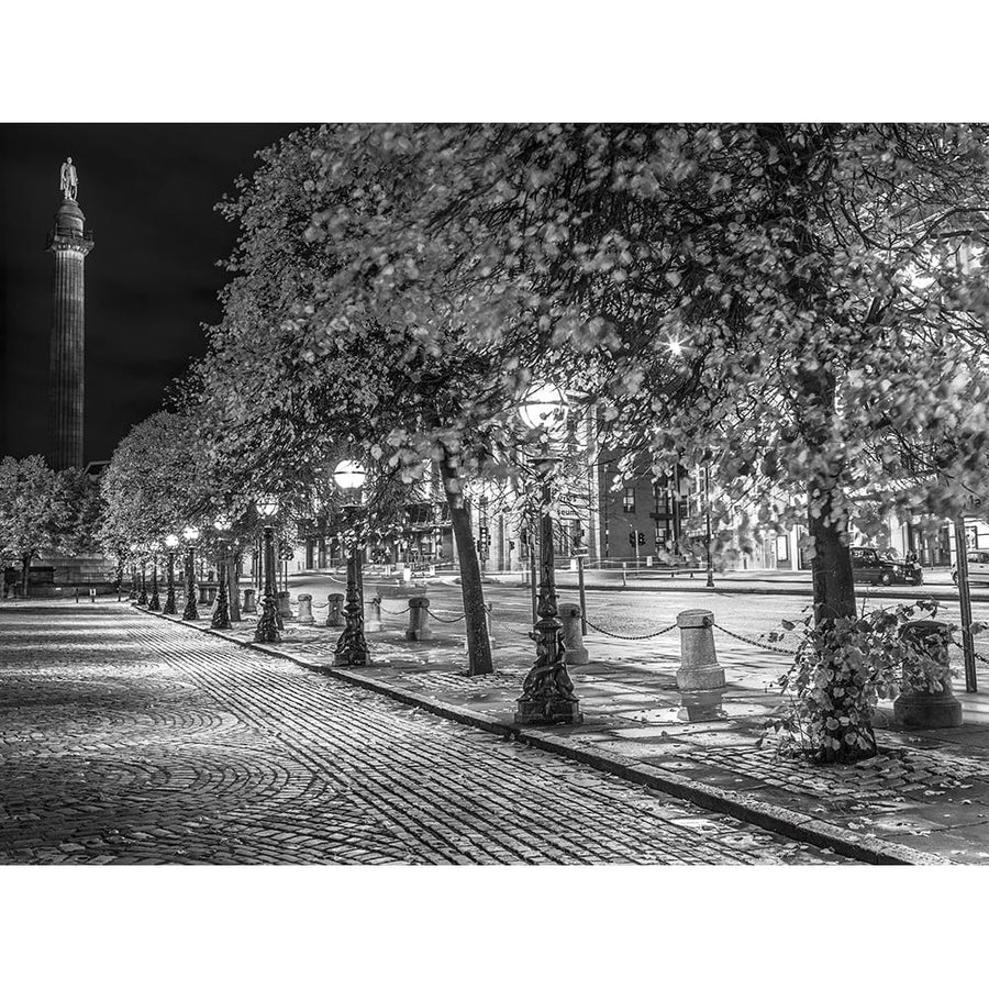 Row of trees at night Poster Print by Assaf Frank-VARPDXAF20120930292C02 Image 1