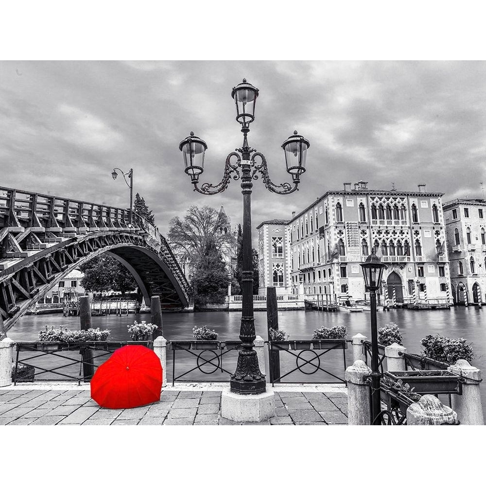 Accademia Bridge-Venice by Assaf Frank-VARPDXAF20130409711C02G Image 1