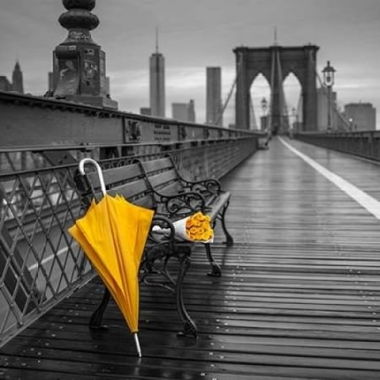 Yellow umbrella and bunch of roses on bench on pedestrian pathway Brooklyn bridge York Print by Image 2