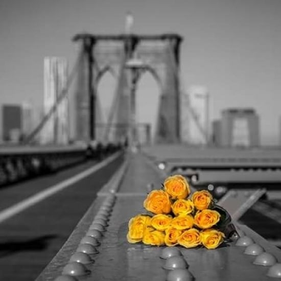 Bunch of roses on Brooklyn Bridge York Poster Print by Assaf Frank-VARPDXAF20131116455C02 Image 1