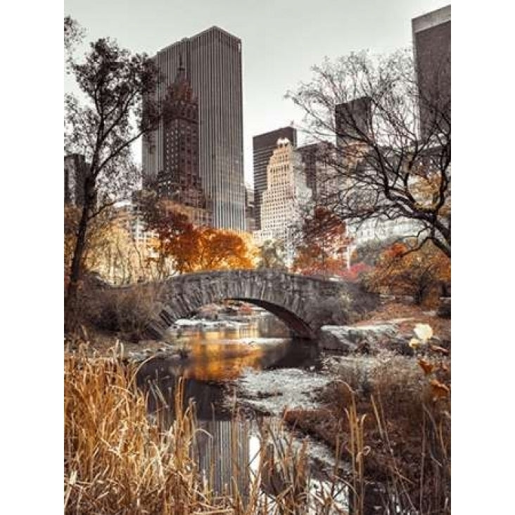 View of small bridge over water stream at Central Park York city Poster Print by Assaf Frank-VARPDXAF201311191494C02 Image 1