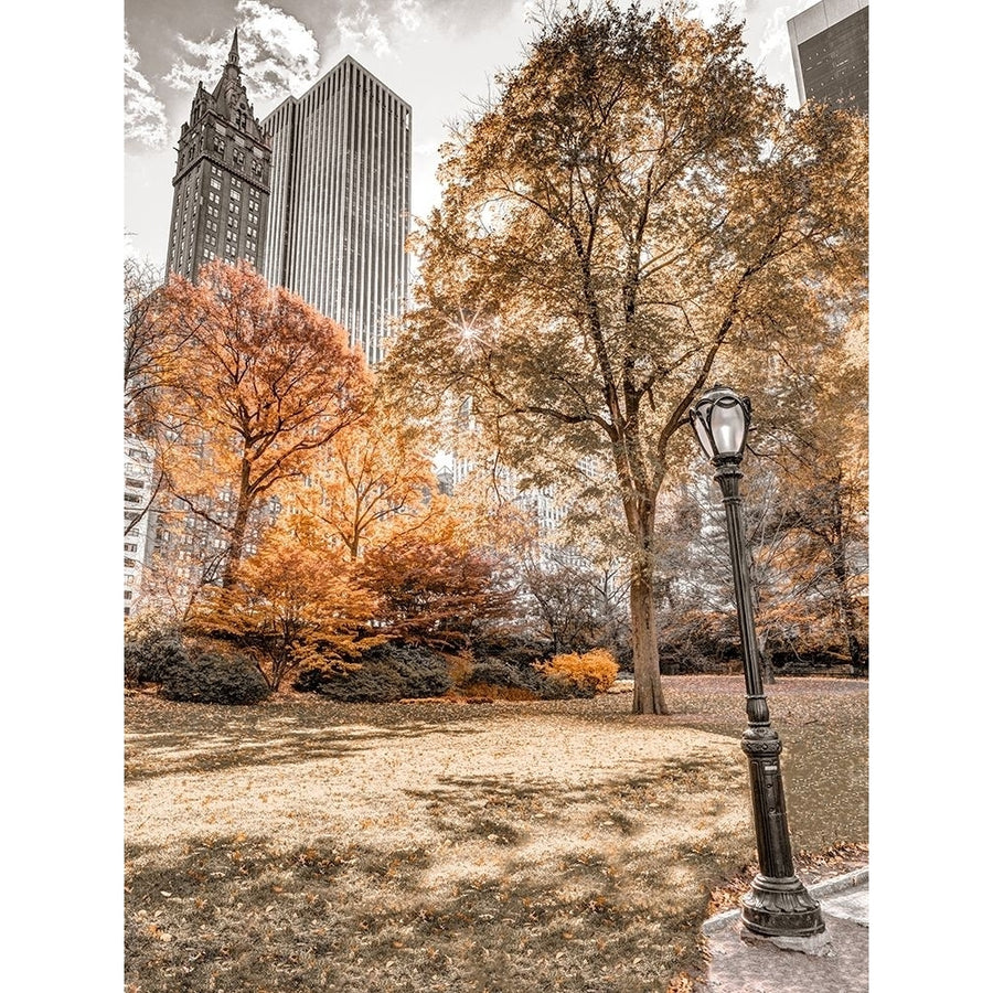 Central park in autumn-Manhattan- York Poster Print by Assaf Frank-VARPDXAF201311191369XPC02 Image 1