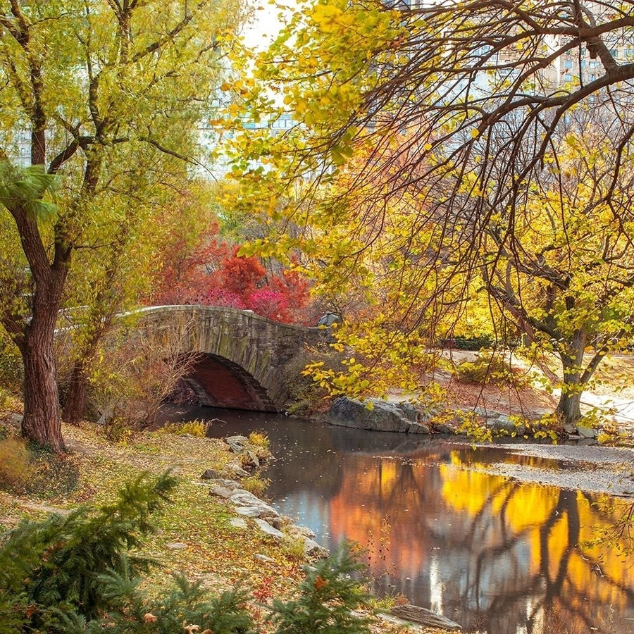 Gapstow bridge in autumn-Central Park- York city Poster Print by Assaf Frank-VARPDXAF201311191502C02 Image 1