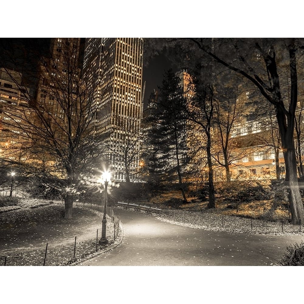 Evening view of Central Park in York City Poster Print by Assaf Frank-VARPDXAF201311191692C01 Image 1