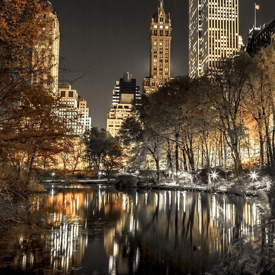 Evening view of Central Park in York City by Assaf Frank-VARPDXAF201311191685C04 Image 1