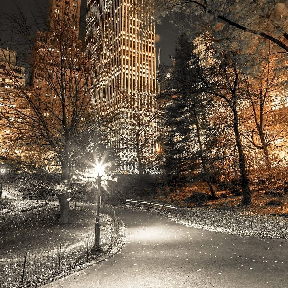 Evening view of Central Park in York City by Assaf Frank-VARPDXAF201311191691C03 Image 1