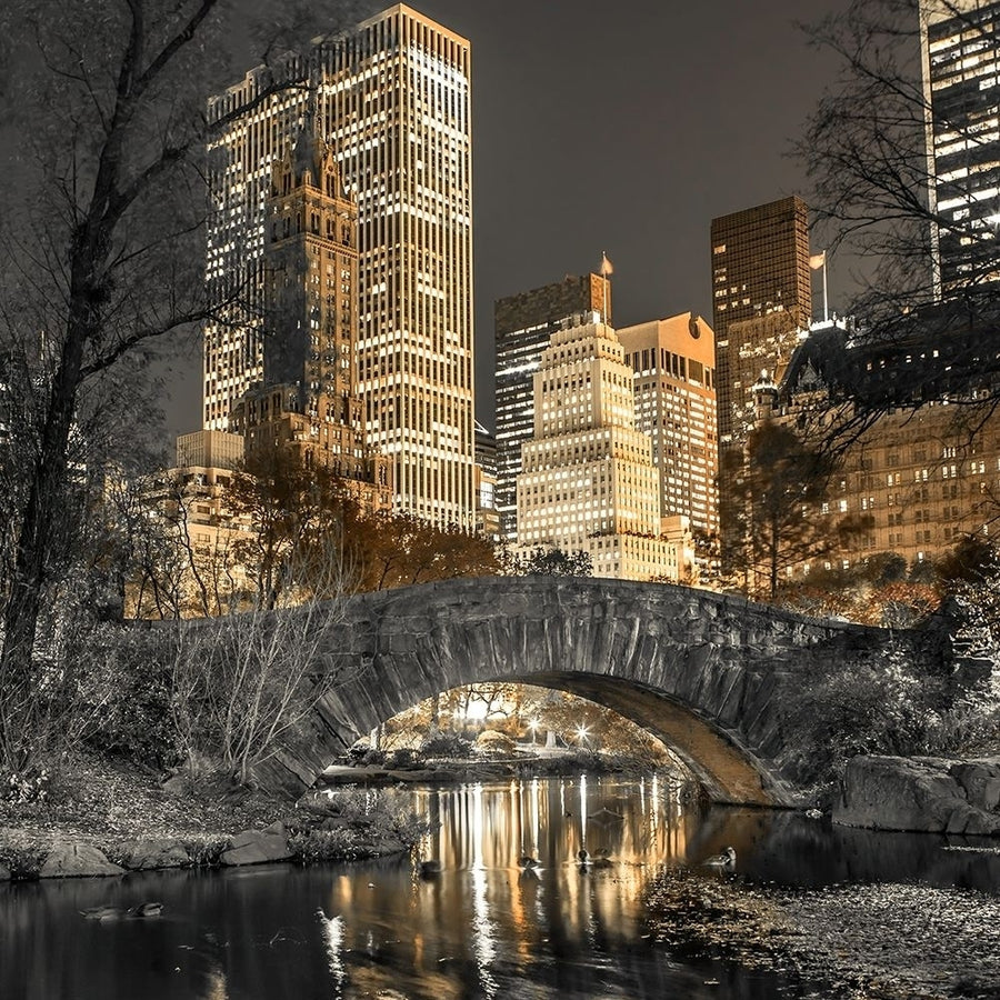 Evening view of Central Park in York City by Assaf Frank-VARPDXAF201311191725C08 Image 1