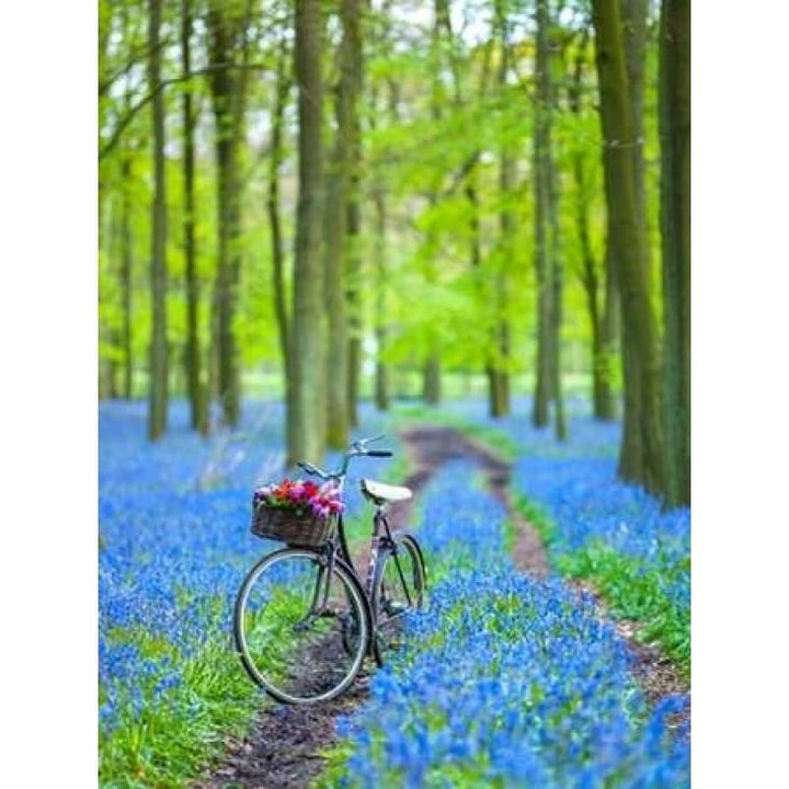 Bicycle in spring forest Poster Print by Assaf Frank-VARPDXAF20140427069 Image 2