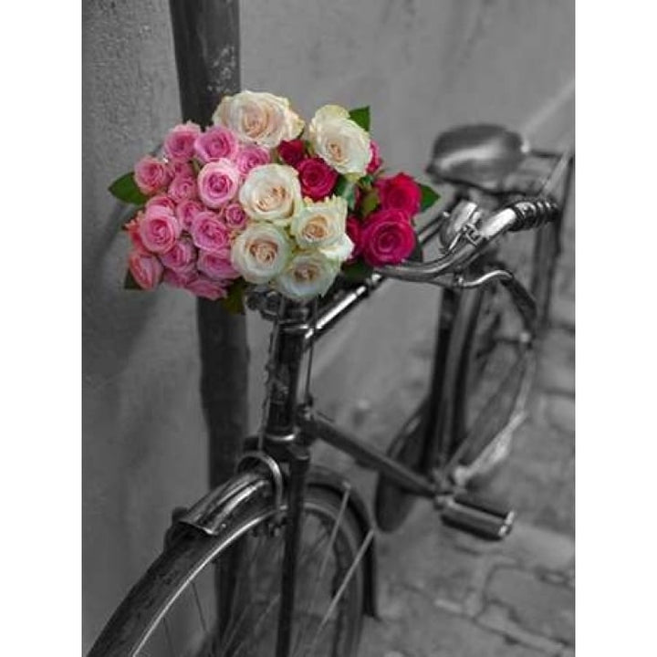 Bunch of Roses on bicycle Paris France Poster Print by Assaf Frank-VARPDXAF20140920439P Image 1