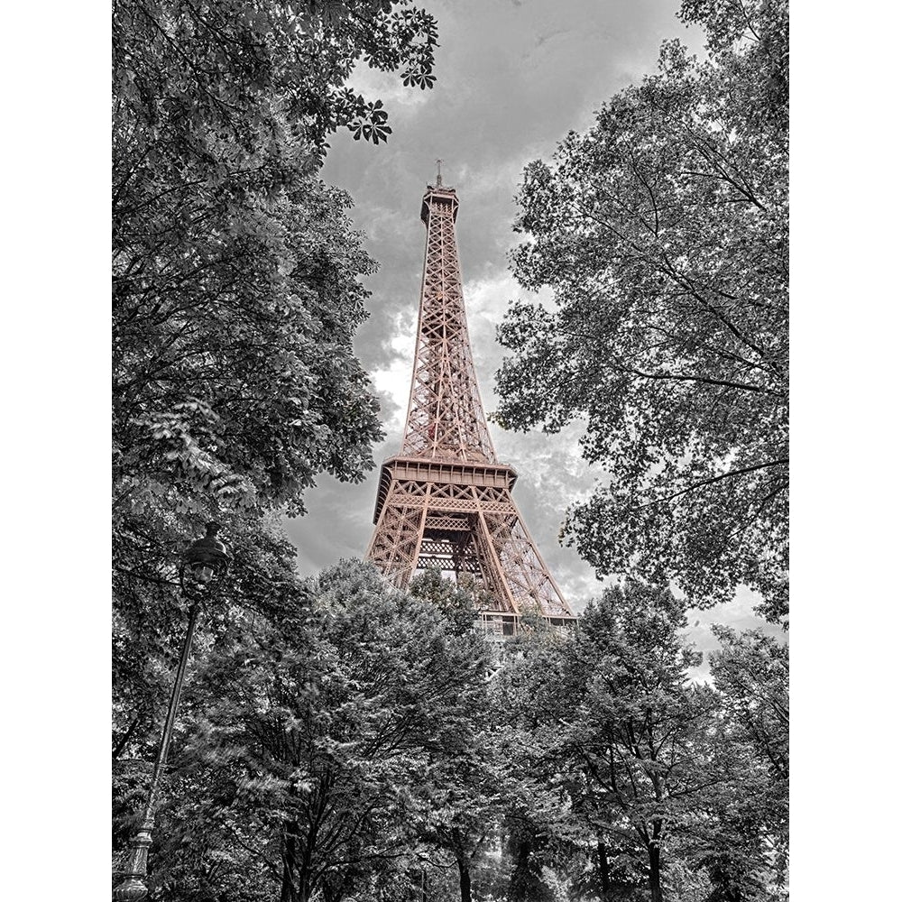 Eiffel Tower through trees Poster Print by Assaf Frank-VARPDXAF20140920584PC01 Image 1