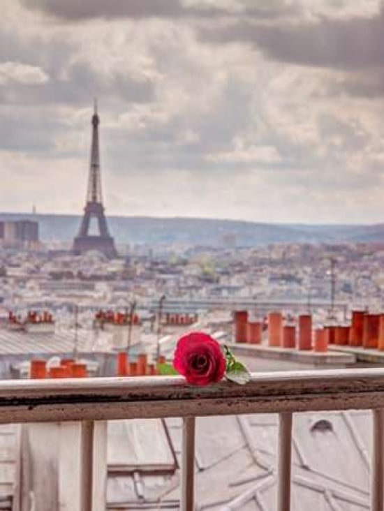 Rose on balcony railing with Eiffel Tower in background Paris France Poster Print by Assaf Frank-VARPDXAF20140921864X Image 1