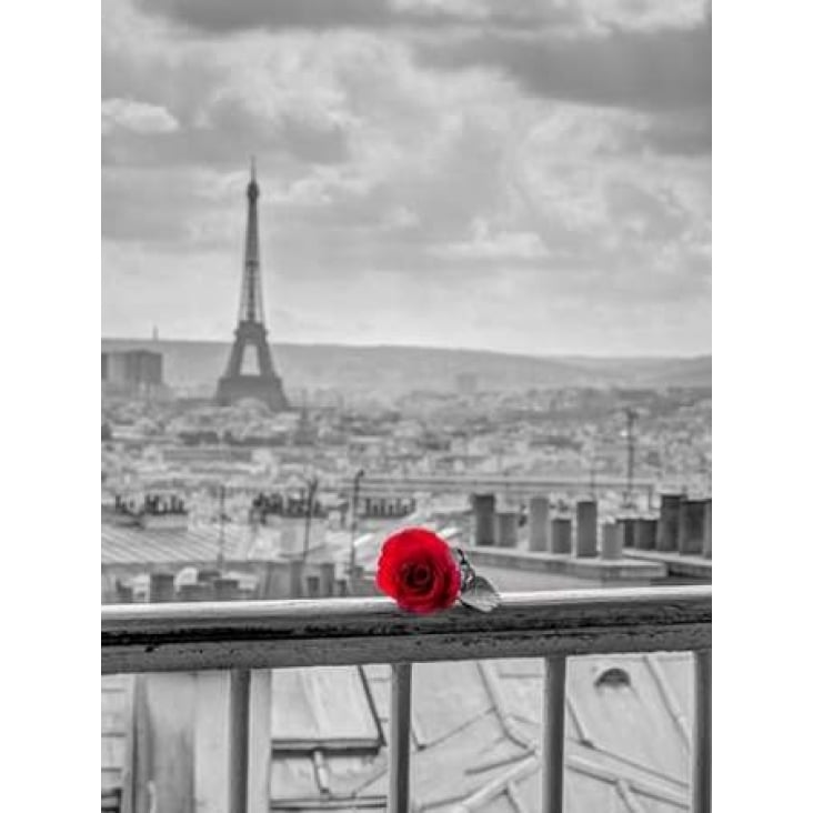 Rose on balcony railing with Eiffel Tower in background Paris France Poster Print by Assaf Frank-VARPDXAF20140921864XC02 Image 2