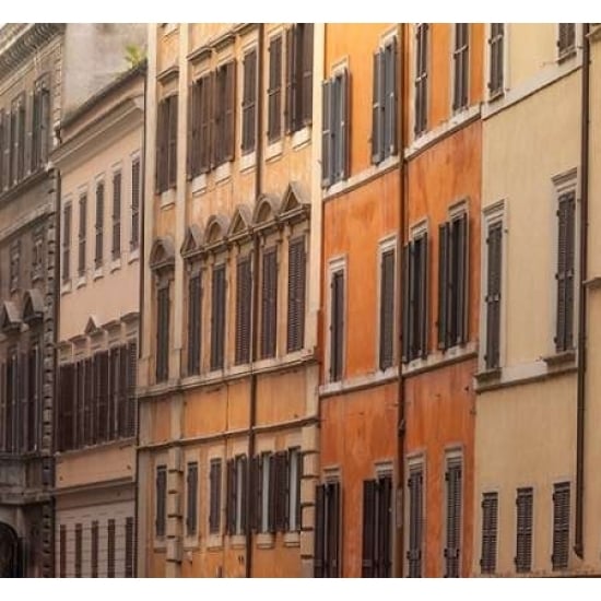 Old buildings in city of Rome Italy Poster Print by Assaf Frank-VARPDXAF20141110222Pano Image 1