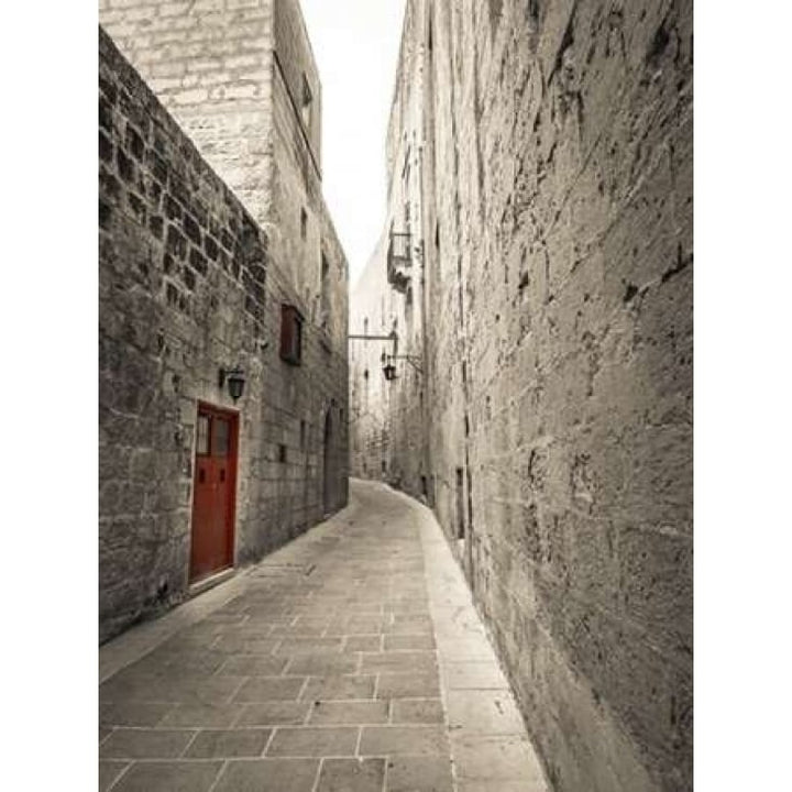 Traditional houses on narrow lanes of Mdina Malta Poster Print by Assaf Frank-VARPDXAF201505161806C01 Image 1