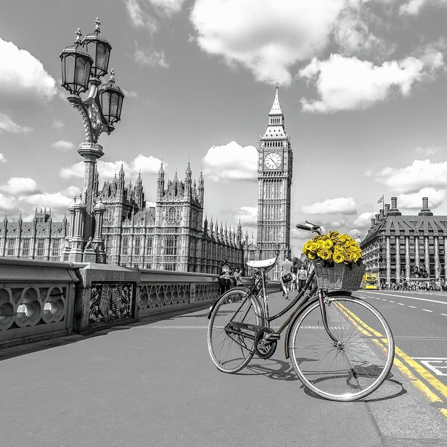 Bicycle with bunch of flowers on Westminster Bridge-London-UK by Assaf Frank-VARPDXAF20150607206C02P Image 1