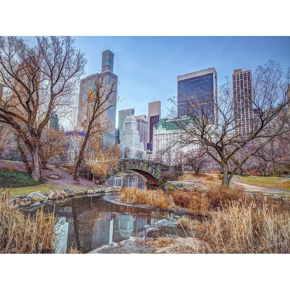 Central park with Manhattan skyline- York by Assaf Frank-VARPDXAF20160117452X Image 1