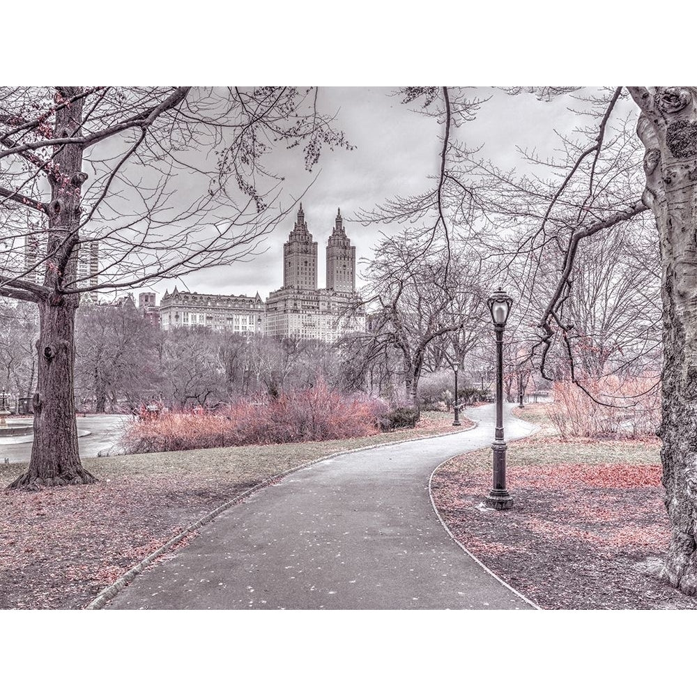 Pathway through Central park- York by Assaf Frank-VARPDXAF20160117577XC02 Image 1