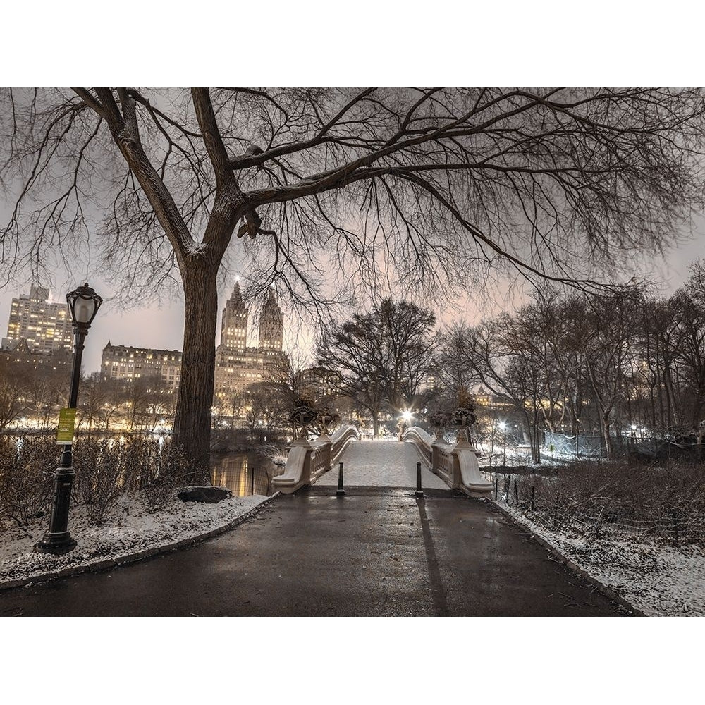 Evening view of Central park- York by Assaf Frank-VARPDXAF20160117738C01 Image 1