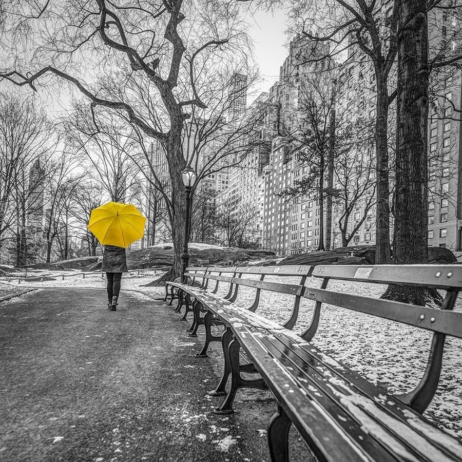 Tourist on pathway with Yellow umbrella at Central park- York by Assaf Frank-VARPDXAF20160118794XC03 Image 1