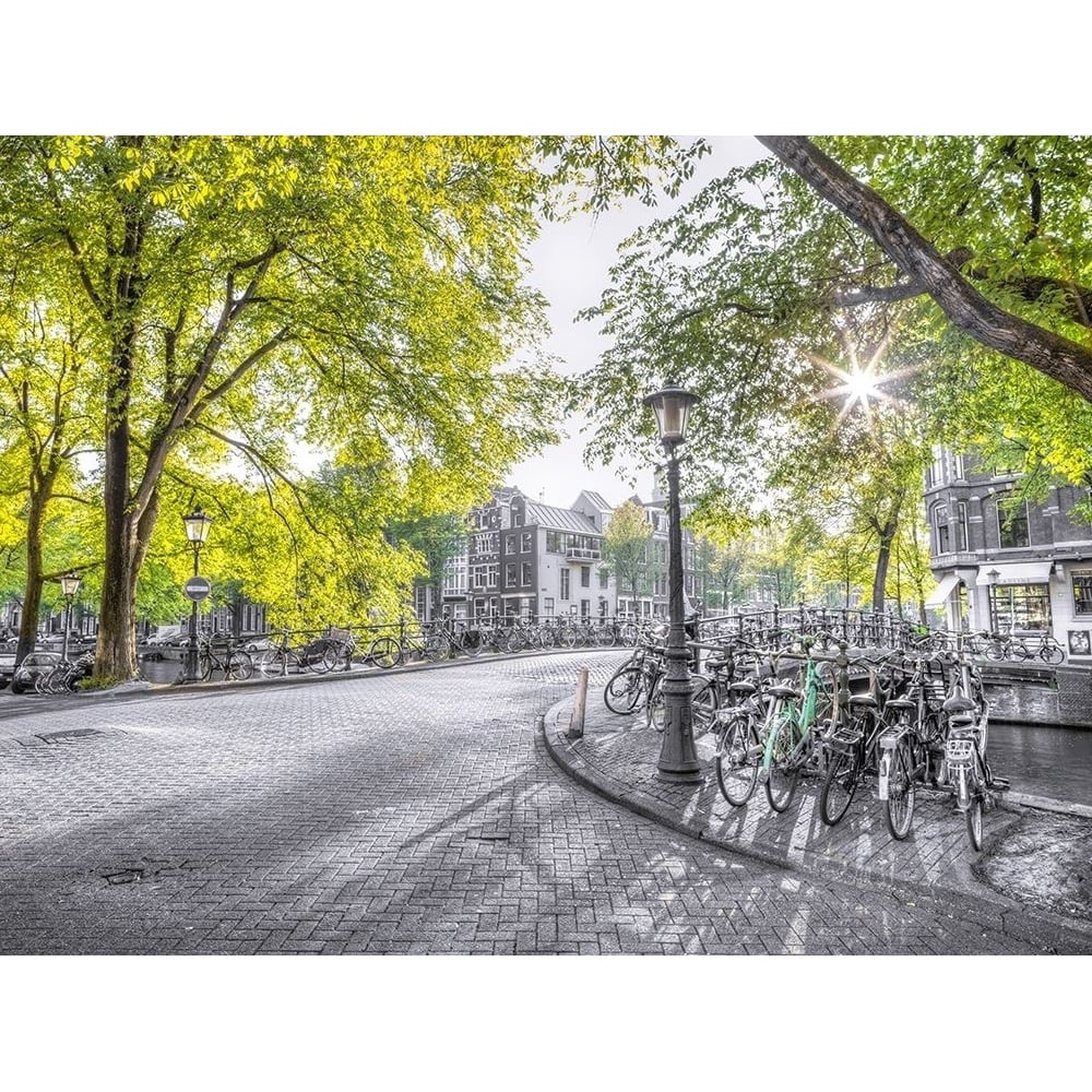 Amsterdam city street by Assaf Frank-VARPDXAF20160517029XC01 Image 1