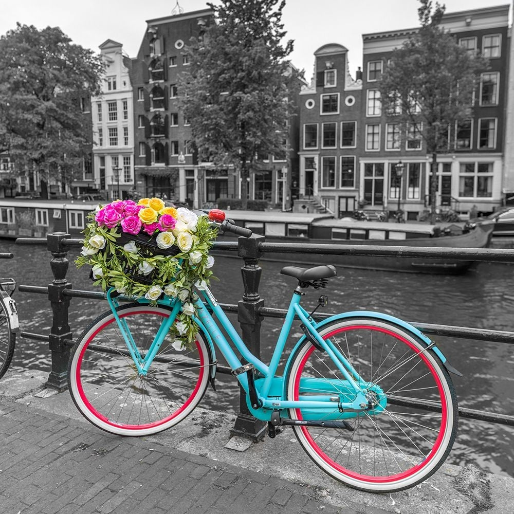 Bicycle with bunch of roses on bridge-Amsterdam by Assaf Frank-VARPDXAF201605201013C01 Image 1