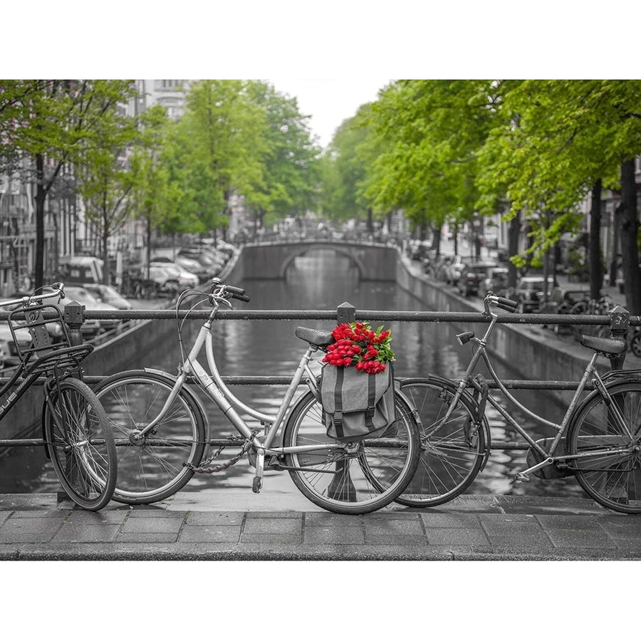 Bicycle with bunch of flowers by the canal Amsterdam Poster Print by Assaf Frank-VARPDXAF201605221556C01 Image 1