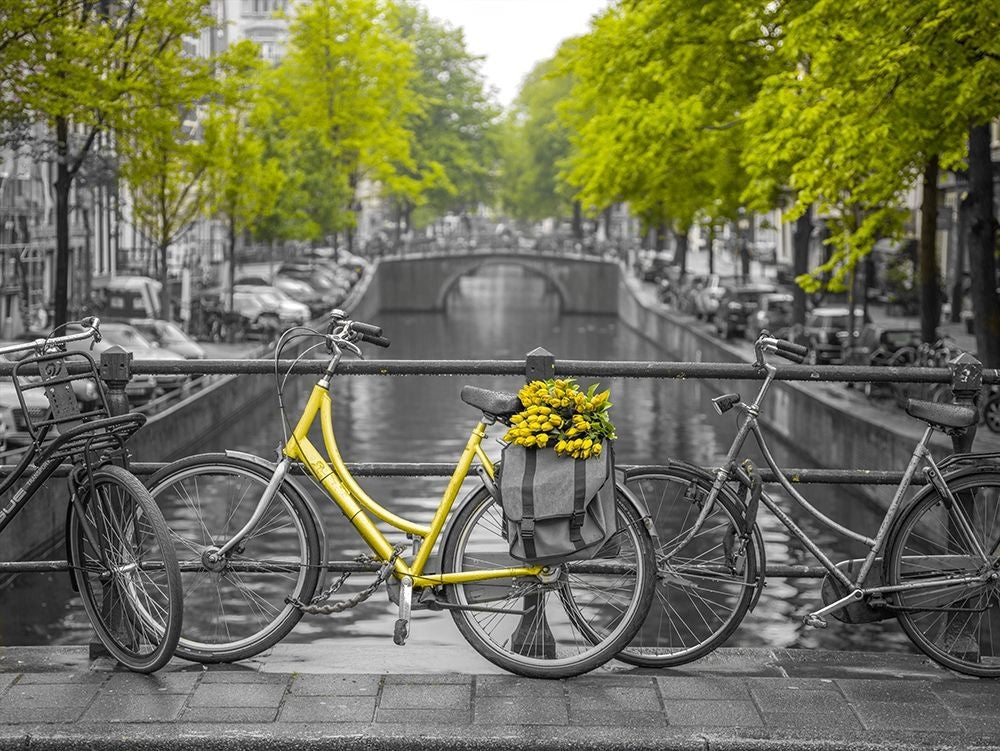 Bicycle with bunch of flowers by the canal Amsterdam Poster Print by Assaf Frank-VARPDXAF201605221556C02 Image 1