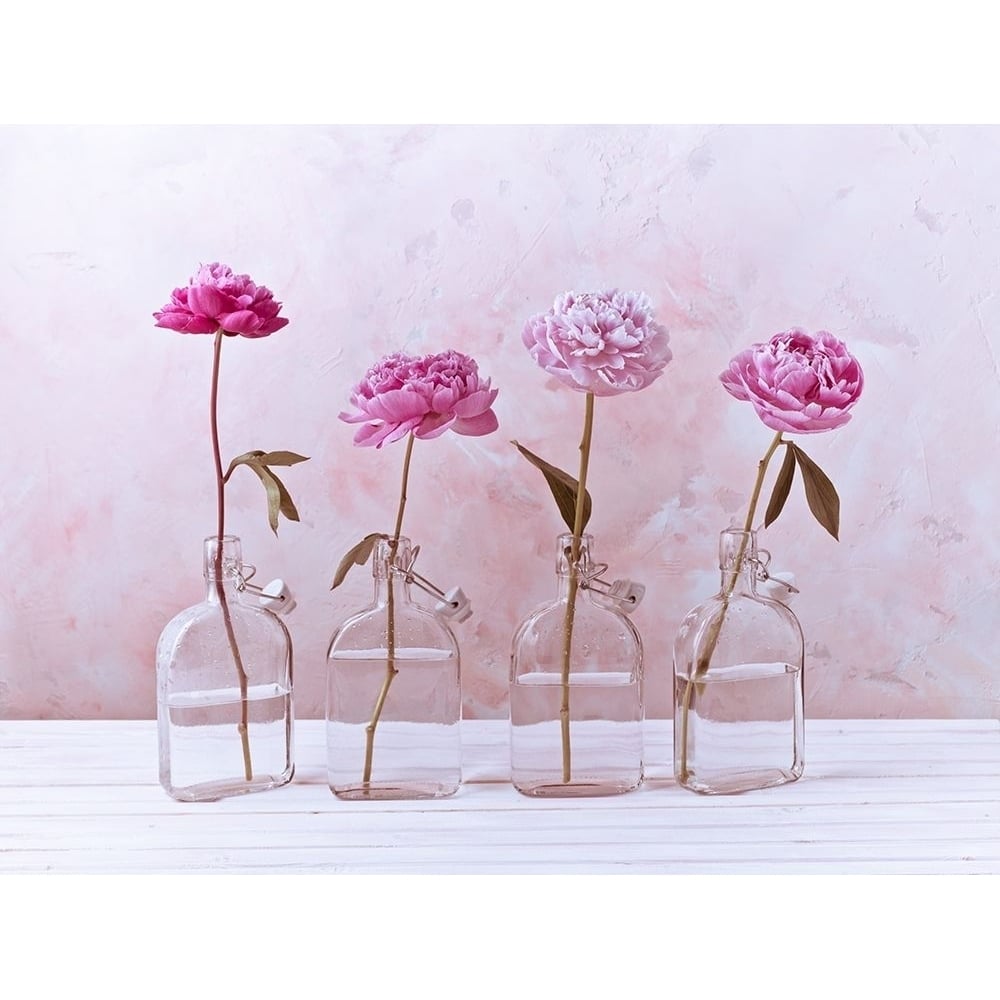 Peonies in glass bottles Poster Print by Assaf Frank-VARPDXAF20160707260C01 Image 1