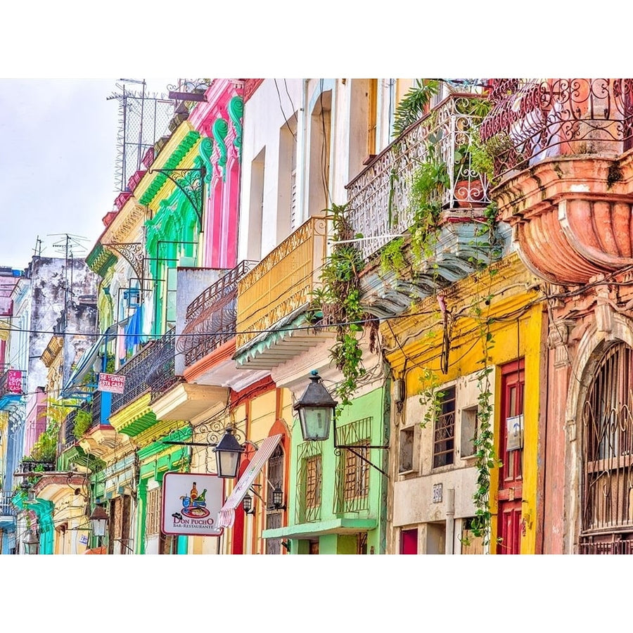 Colorful houses in Havana by Assaf Frank-VARPDXAF201801241468X Image 1