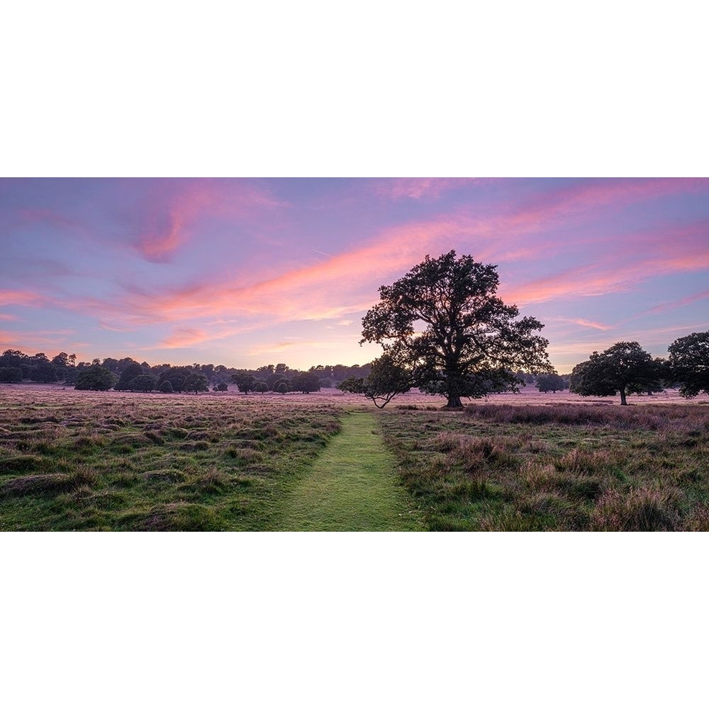 Pathway through meadow by Assaf Frank-VARPDXAF20190914203HDR Image 1