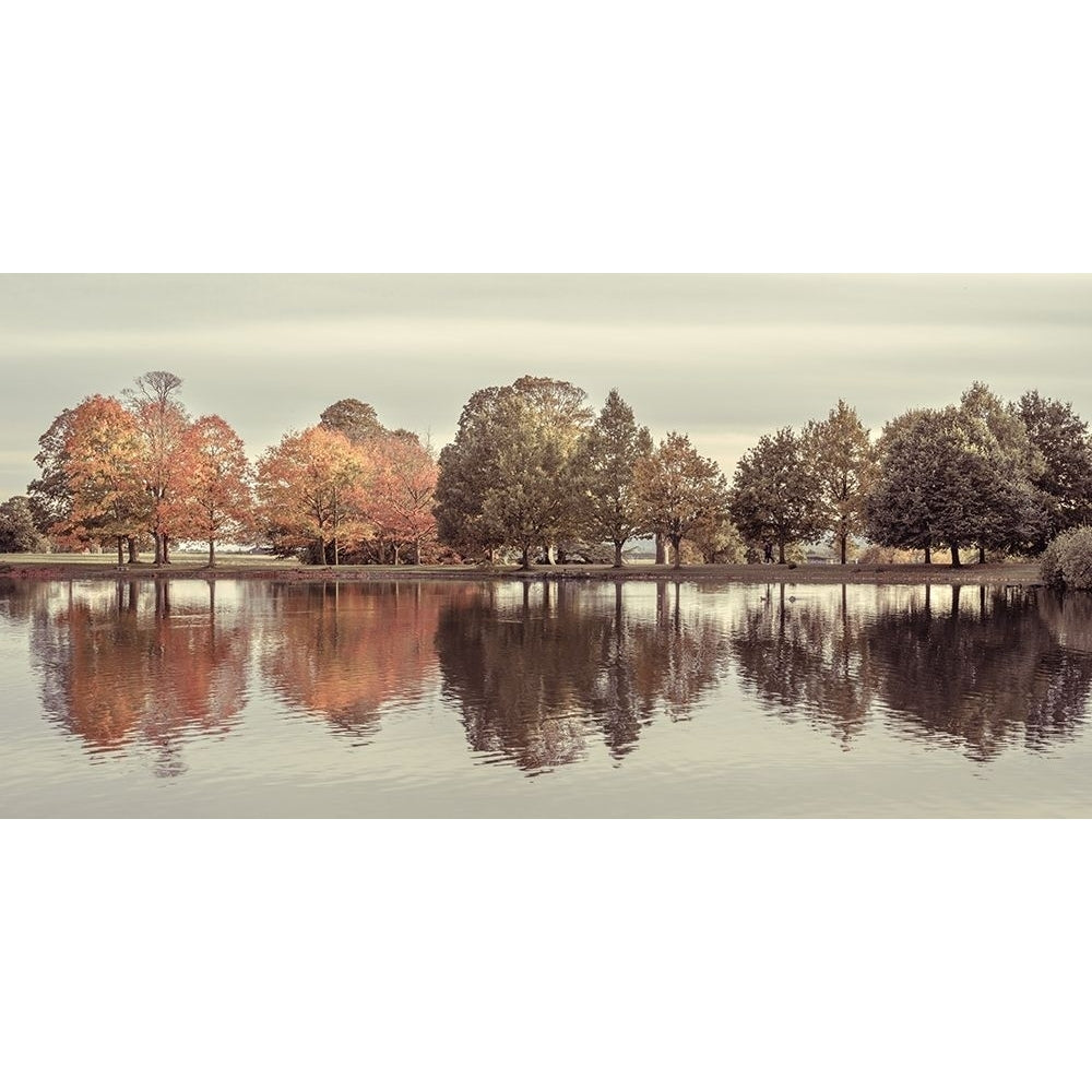 Reflection of autumn trees in a still lake Poster Print by Assaf Frank-VARPDXAF20191027143 Image 1