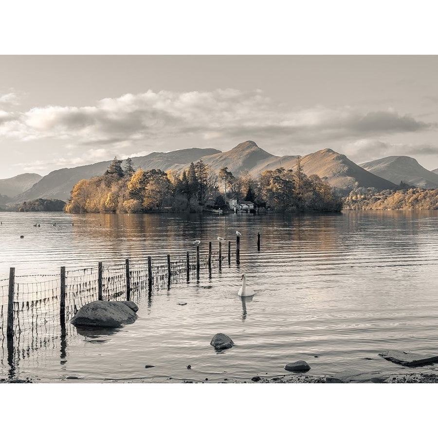 Morning at Derwent island-Derwentwater by Assaf Frank-VARPDXAF201911102827C01 Image 1