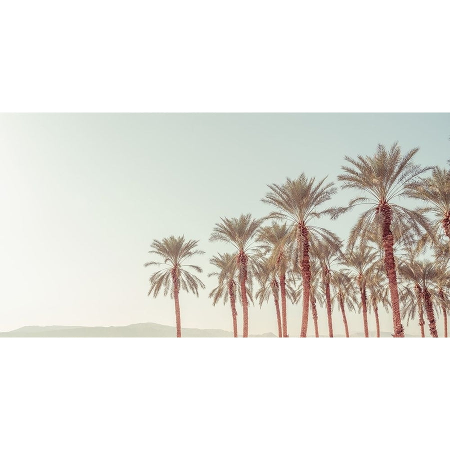 Palm Trees by Assaf Frank-VARPDXAF201912161648C03 Image 1