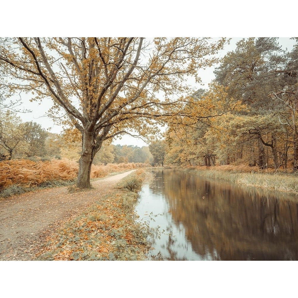 Canal through forest by Assaf Frank-VARPDXAF20201108260C01 Image 1