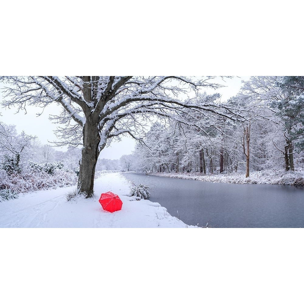 Snow covered trees by a canal by Assaf Frank-VARPDXAF20210124016PANO Image 1