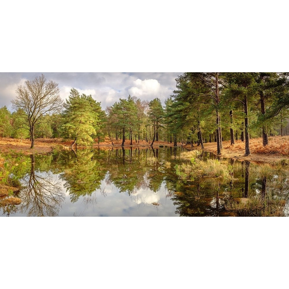 Canal through forest by Assaf Frank-VARPDXAF20210206297PANO Image 1