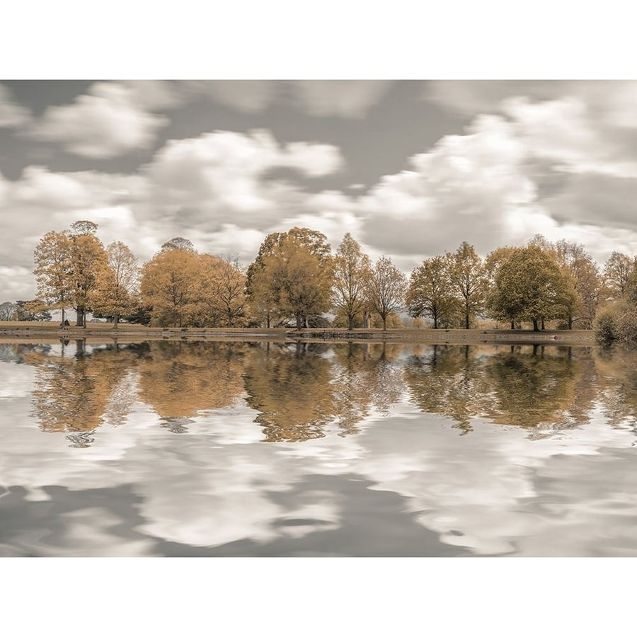 Trees along the lake by Assaf Frank-VARPDXAF20210518107P1C01 Image 1