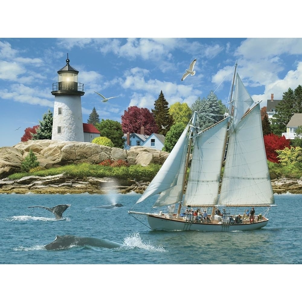 Sail into Serenity Poster Print - Alan Giana-VARPDXAG43 Image 1