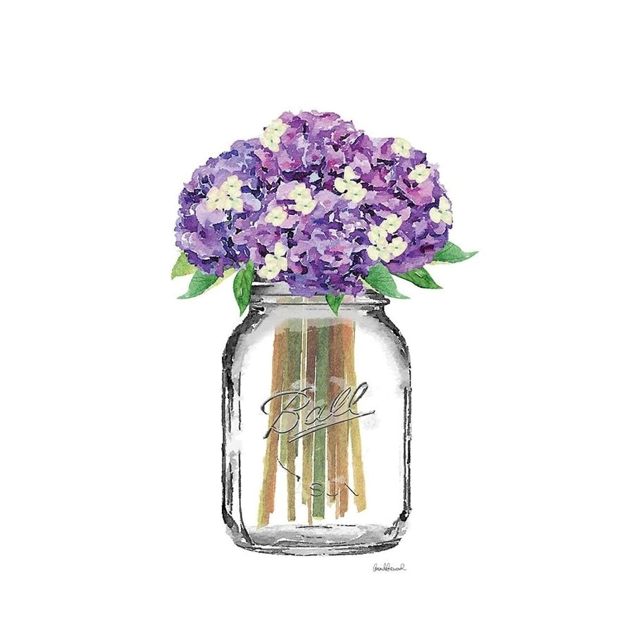 Jar Double Hydrangea Poster Print by Amanda Greenwood-VARPDXAGD115739 Image 1